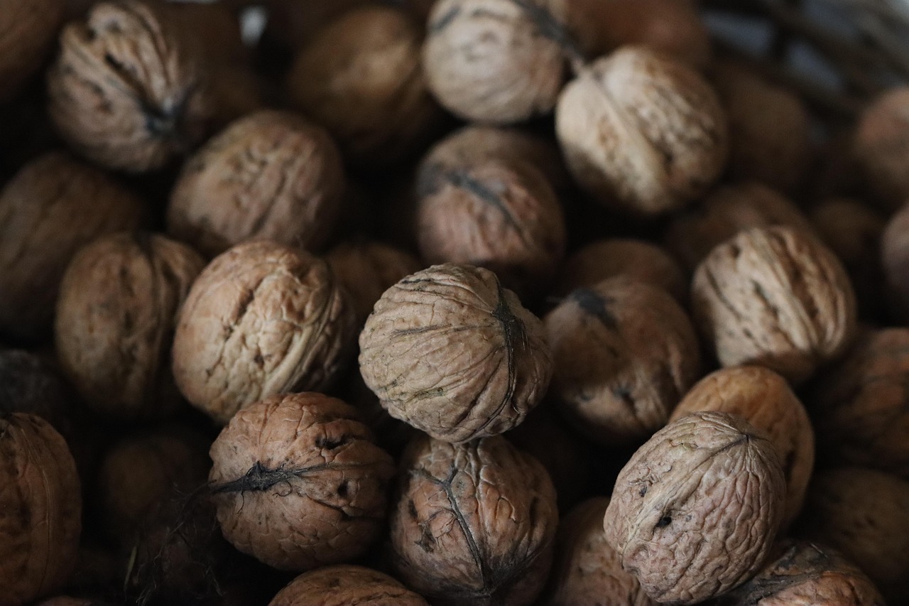 entdecken sie die welt der superfoods: erfahren sie, welche nahrungsmittel besonders nährstoffreich sind und wie sie ihre gesundheit positiv beeinflussen können. tipps, informationen und leckere rezepte erwarten sie!