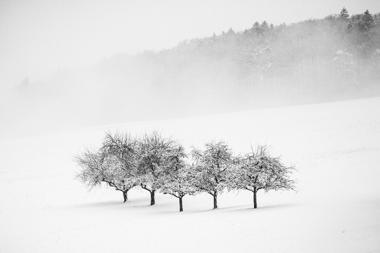 entdecken sie die welt des minimalismus: einfache lebensweisen, klare strukturen und praktische tipps, um mehr raum und ruhe in ihr leben zu bringen. starten sie jetzt mit minimalistischen ideen für alltag, wohnen und arbeit.