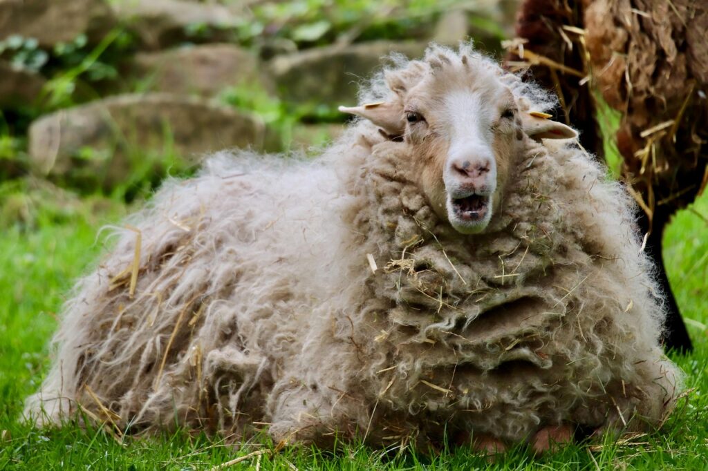 erfahren sie mehr über rumination: ursachen, symptome und bewährte methoden zur bewältigung von grübeln und wiederkehrenden negativen gedanken im alltag. tipps für mehr innere ruhe und wohlbefinden.